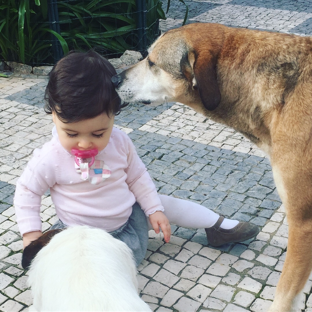 qual o melhor calçado para os primeiros passos