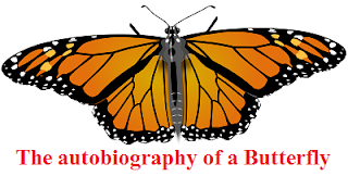 The autobiography of a Butterfly