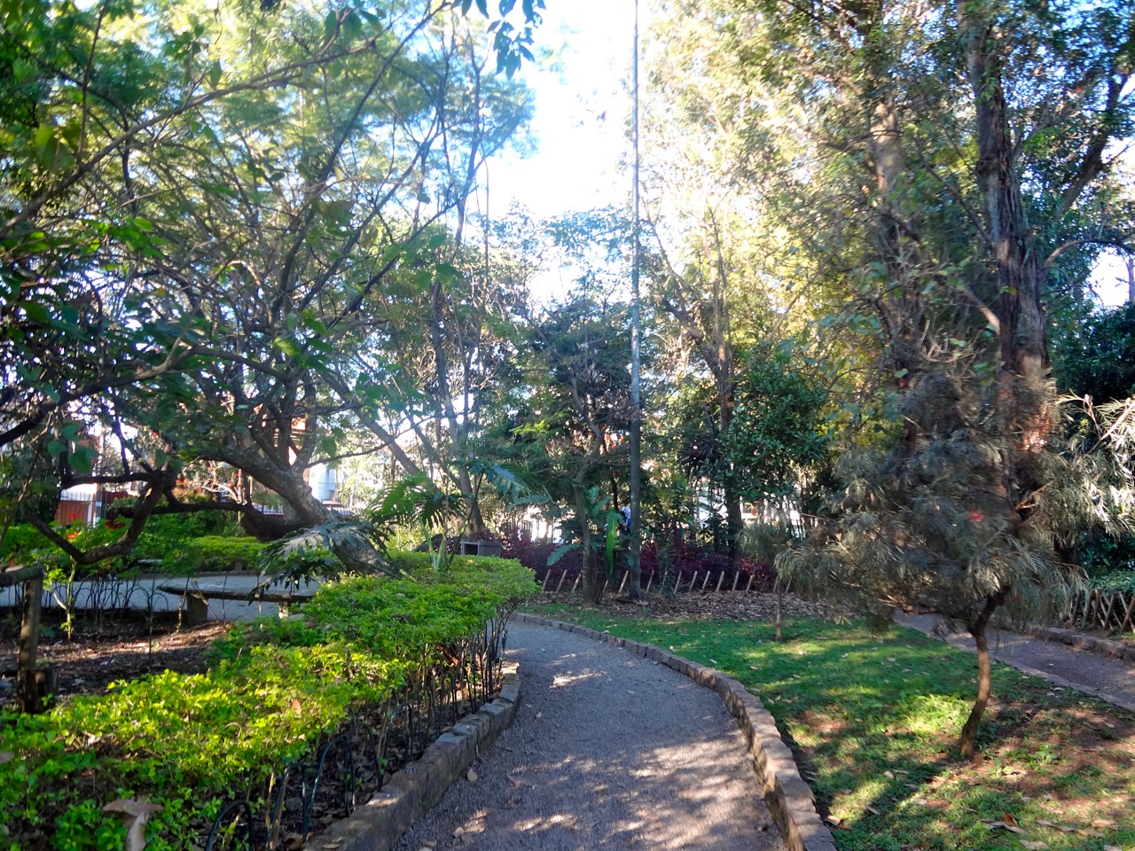 Parque Severo Gomes em São Paulo ~ Áreas Verdes das Cidades - Guia de ...