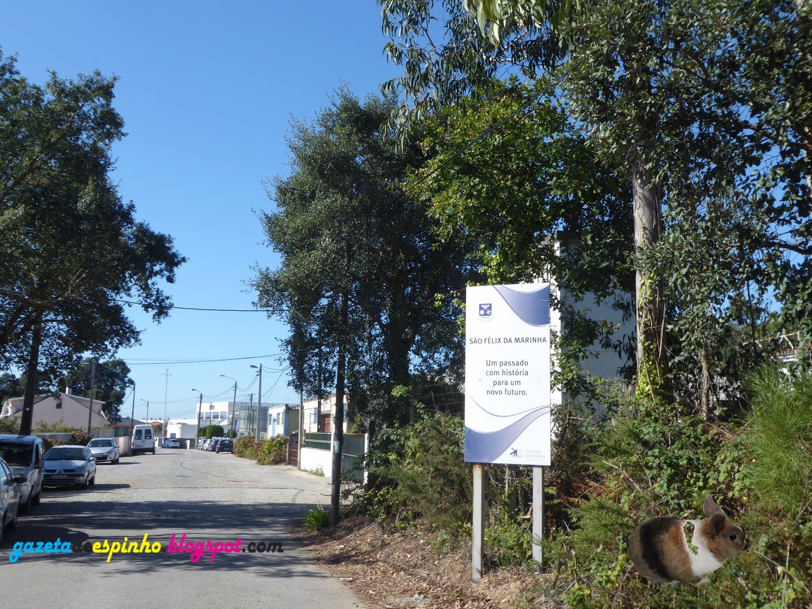 Gazeta de Espinho Morador de Idanha reclama passeios na Rua de S. Vicente