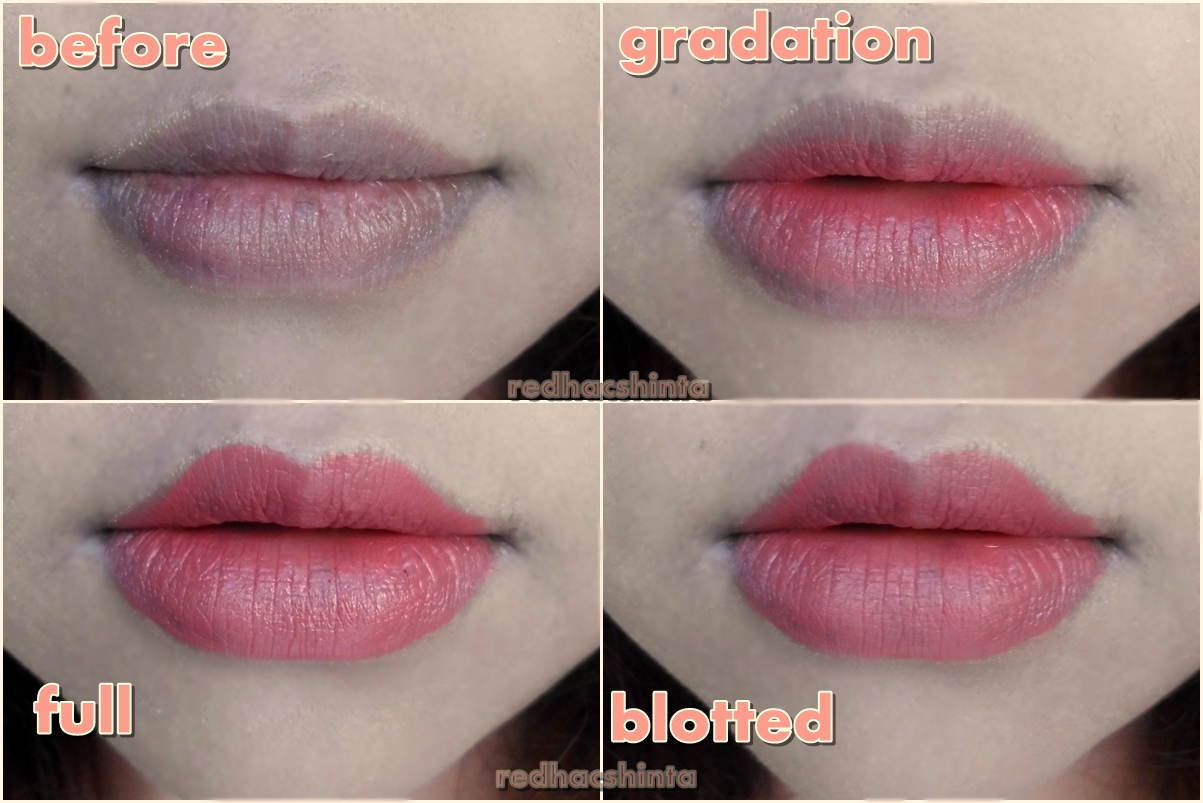 Thick Body and Thin Pocket: REVIEW : WARDAH MATTE LIPSTICK
