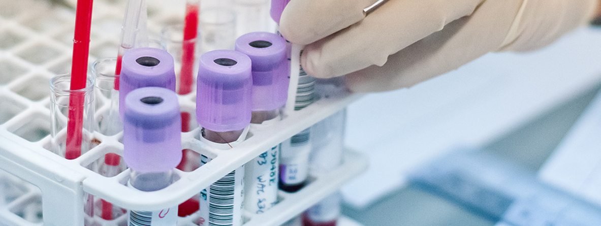 phlebotomy course