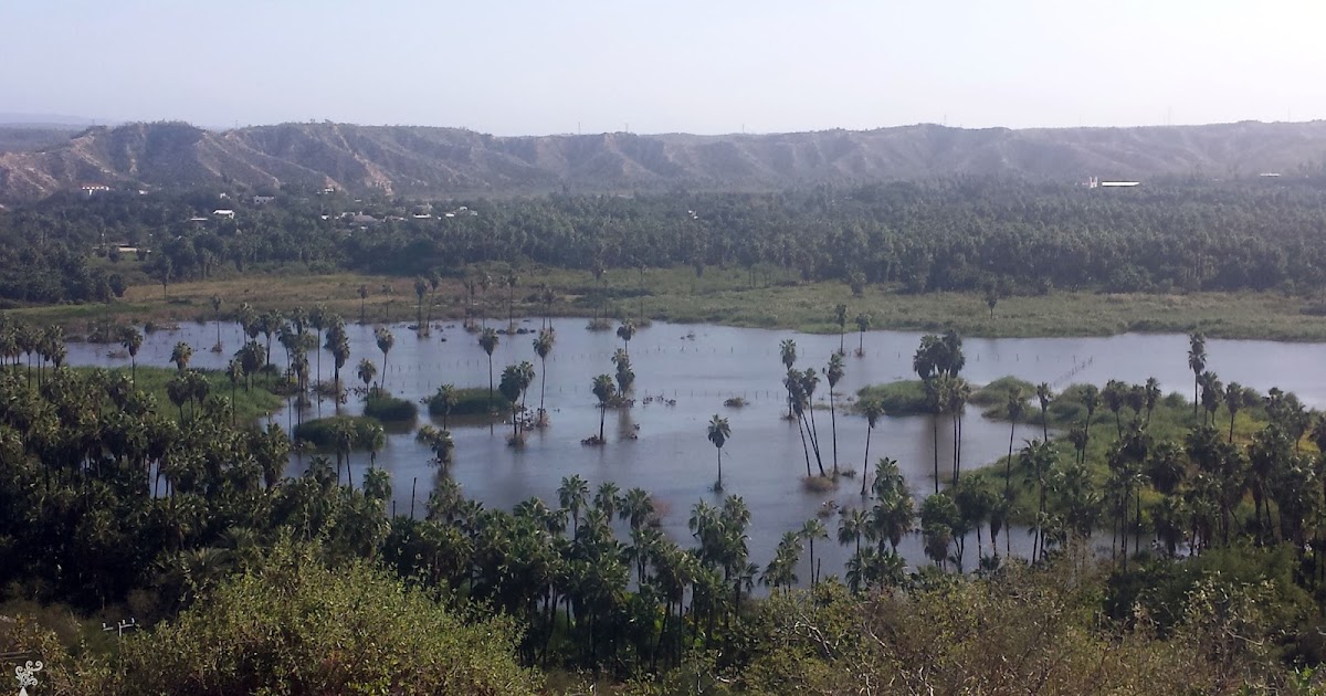 Exploring the Ranches route/Explorando la Ruta de las Rancherías en
