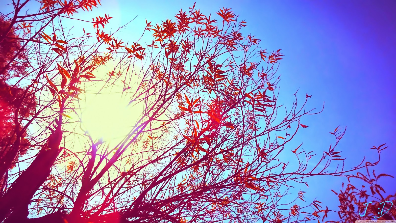 Beautiful Images Of Nature Screensavers Beautiful Images Of Nature Screensavers