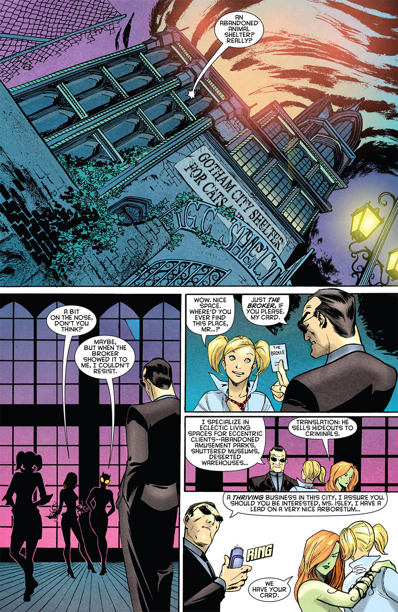 Read online Gotham City Sirens comic -  Issue #1 - 22