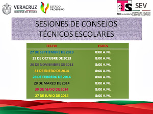 SESIONES DE CONSEJO TECNICO ESCOLAR 2013-2014
