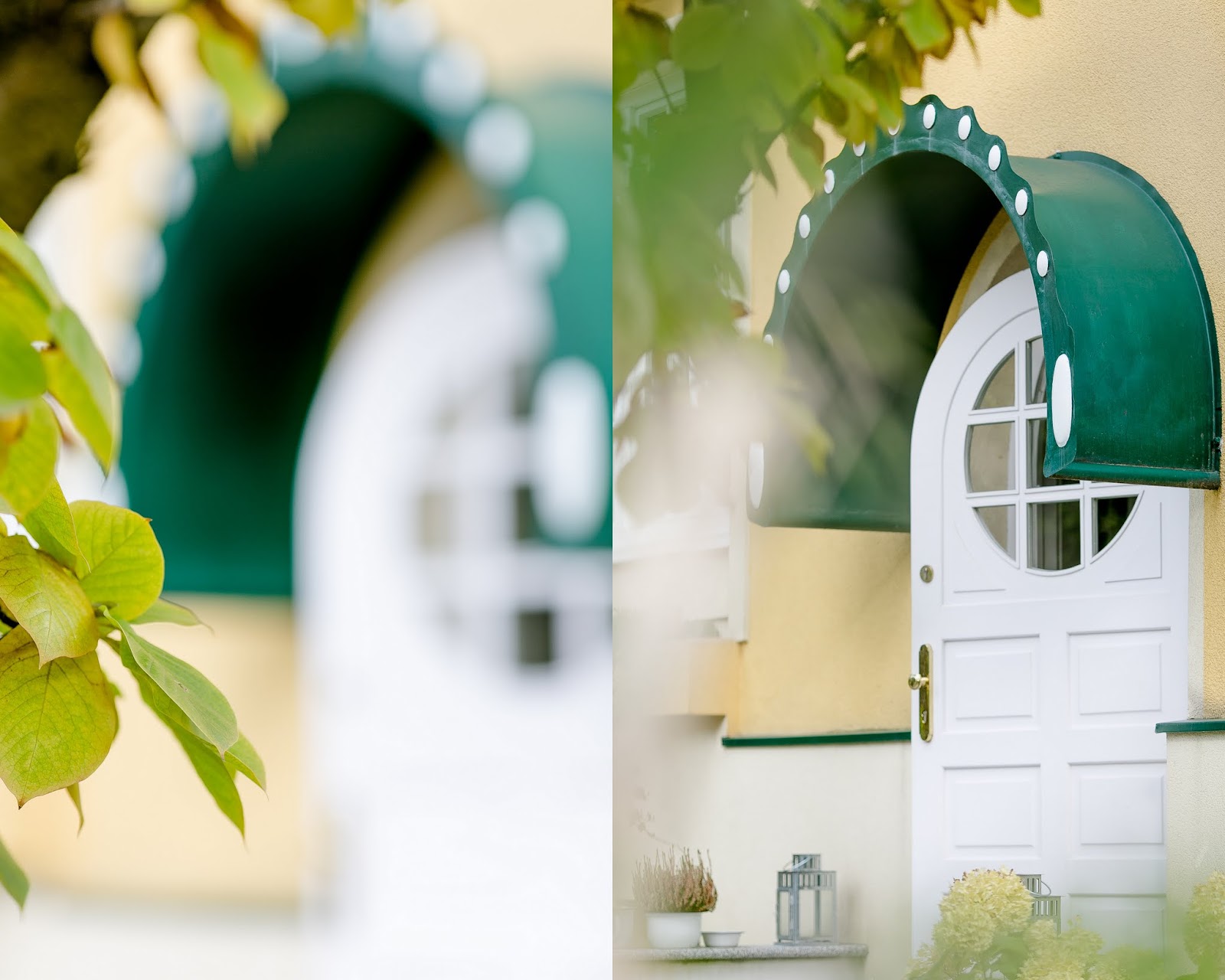 Hollywood Berries Passion