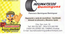 NEUMÁTICOS DOMINGUEZ