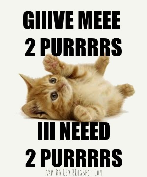 Cat 2 Purrs Meme by akaBailey