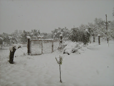 clima, Beceite, nieve, frío, nevada, está nevando, Beseit, neu, no hi aneu, on hi ha neu, fresqueta, fresca, frescota