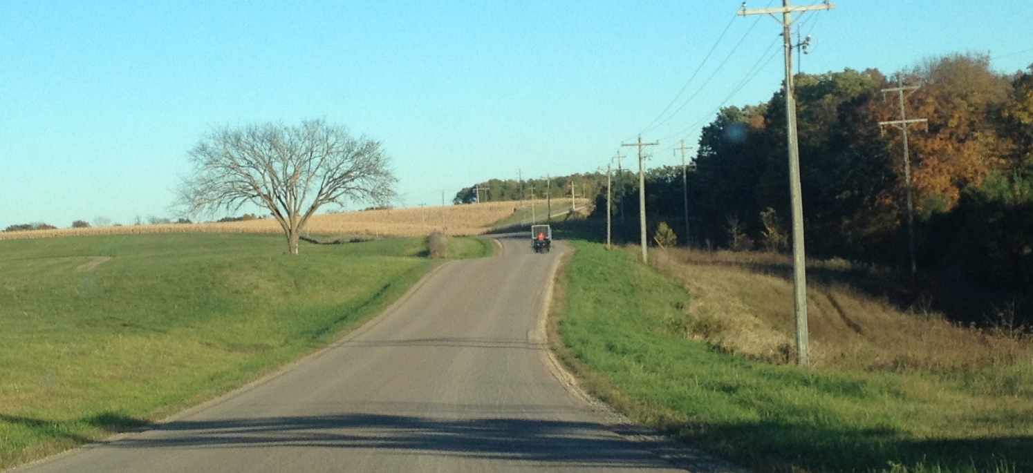 Amish Horses Amish Tour of Wisconsin