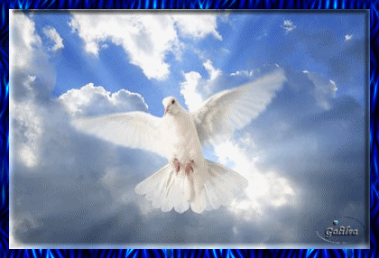 ® Santoral Católico ®: IMÁGENES DEL ESPÍRITU SANTO