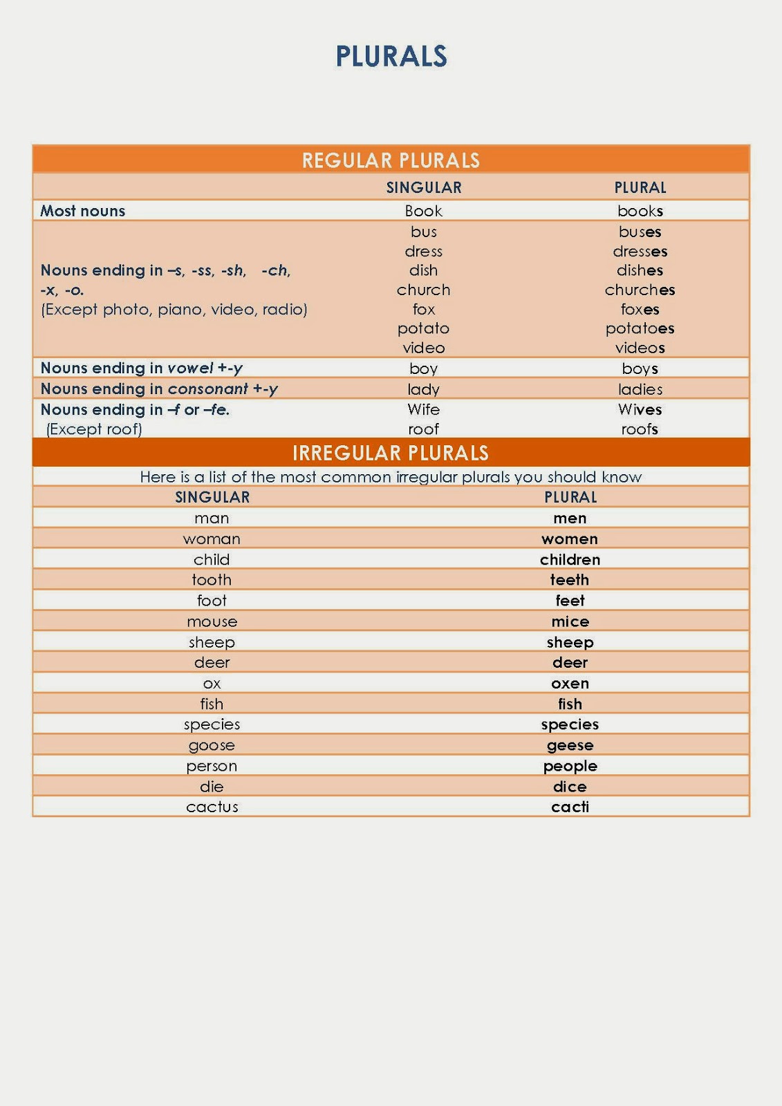 Serendipity English Lab PLURALS