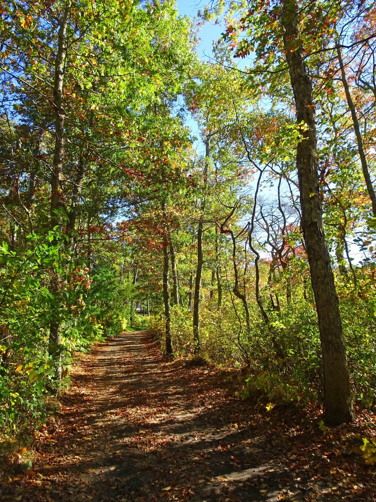 Joe's Retirement Blog Rabbit Pond, Manomet, Plymouth, Massachusetts, USA