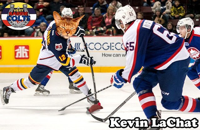 Image result for a very barrie colts blog kevin labanc