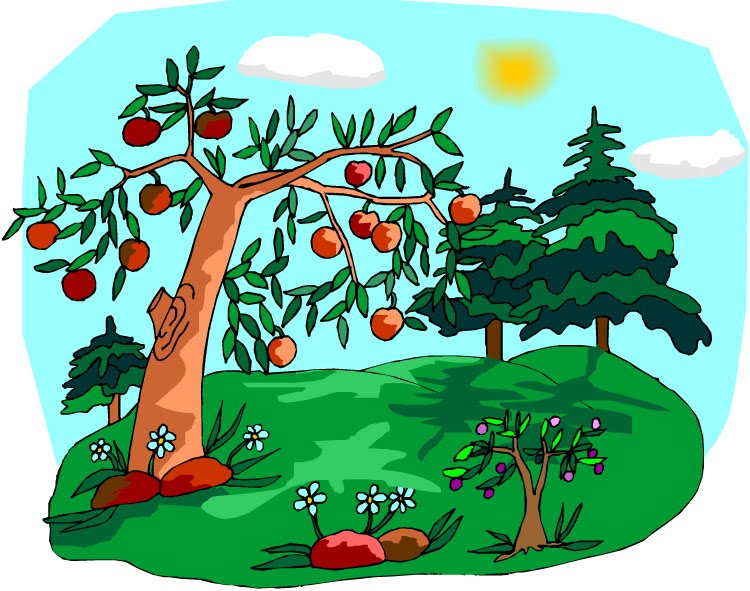 Gallery Funny Game Celtic Tree Of Life Meaning