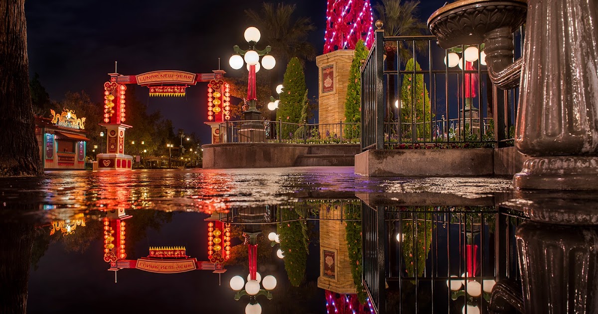 Reflections of New Year