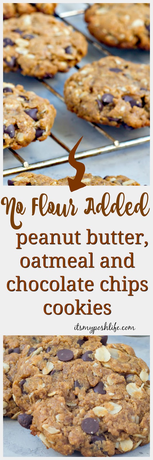 No Flour Added, Chocolate Chip Peanut butter and Oatmeal Cookies No Flour Added, Chocolate Chip Peanut butter and Oatmeal Cookies