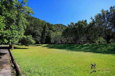 泰雅渡假村