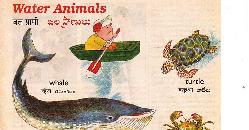 NIGHANTUVU = DICTIONARY: ENGLISH NAMES OF WATER ANIMALS WITH PICTURES