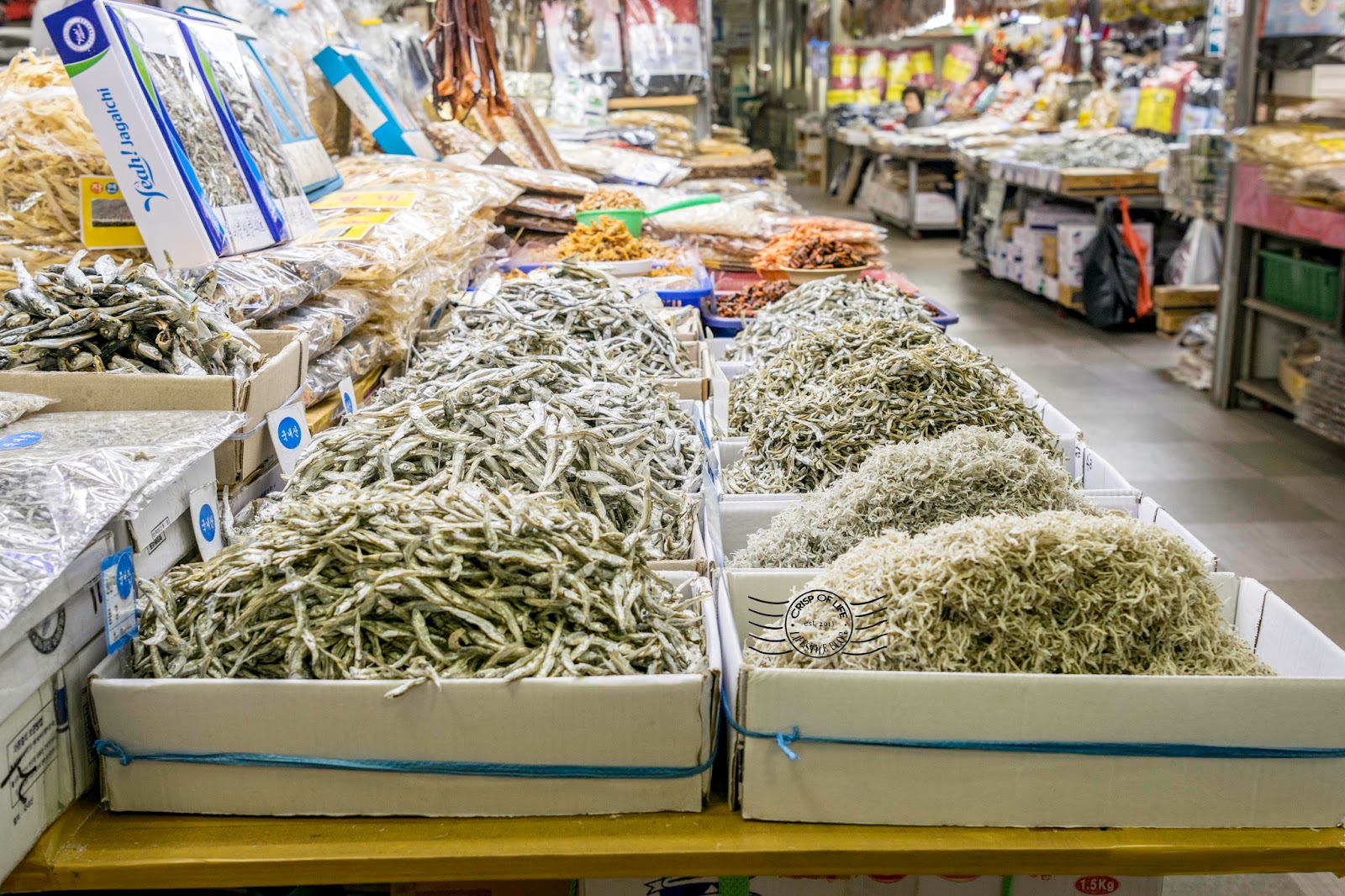 Jagalchi Fish Market Largest Seafood Market in Korea Busan, South