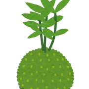 苔玉のイラスト