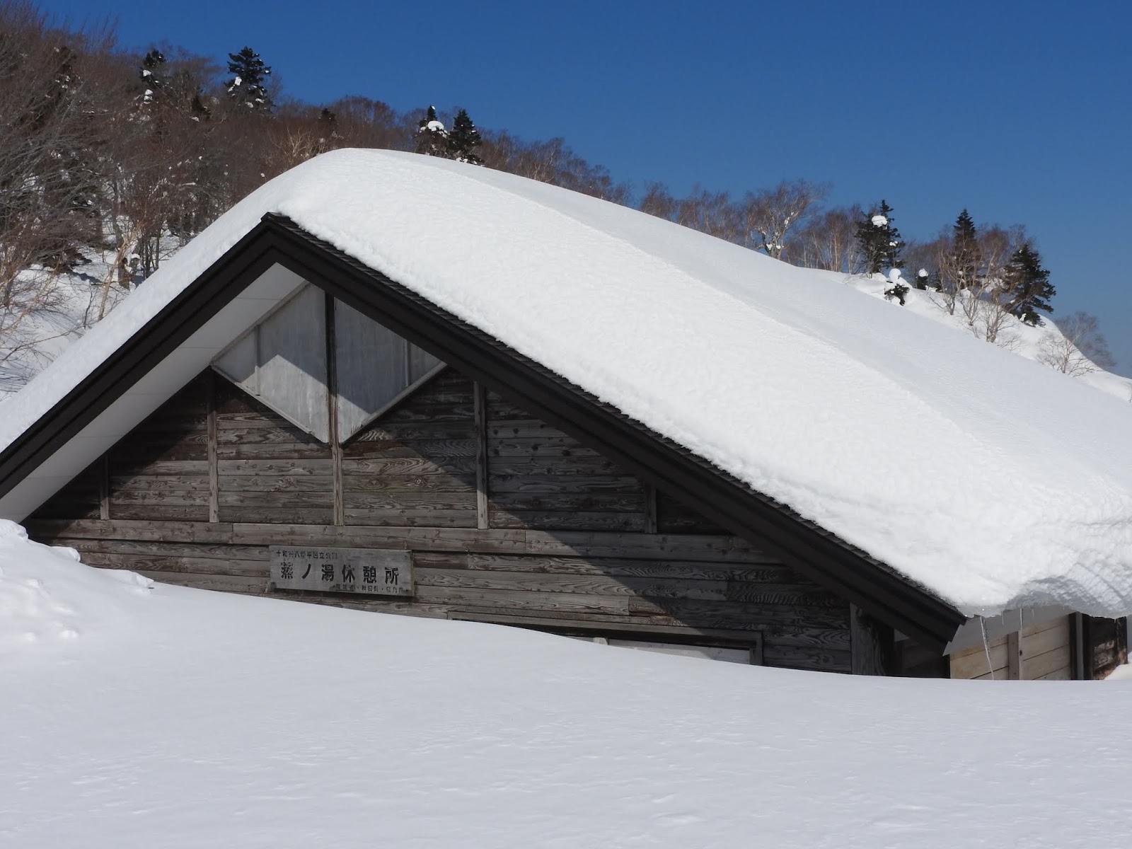 角さんの山登り 八幡平 樹氷 アイス モンスター群を行く