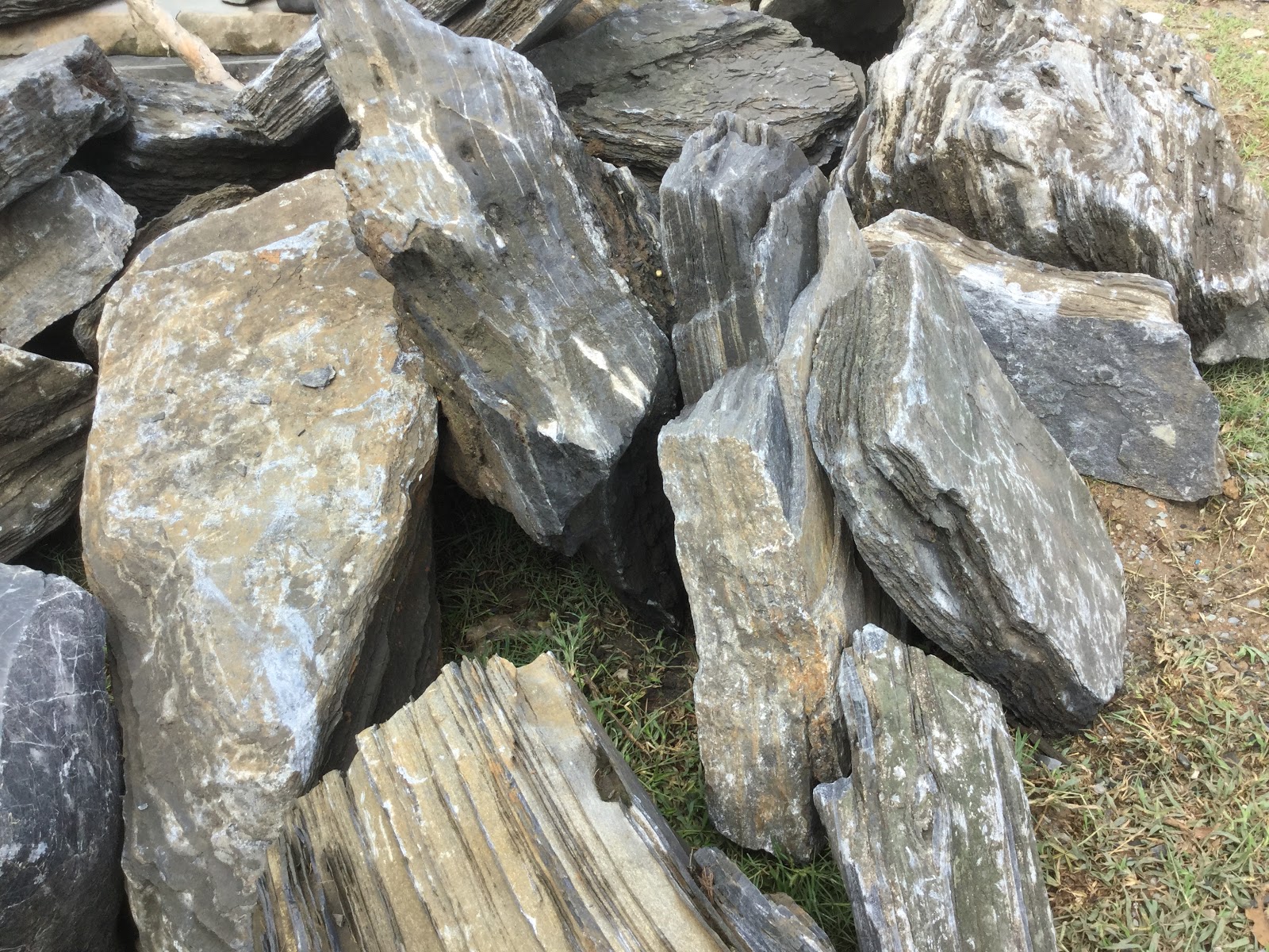 đá xếp tầng là một loại đá có thể được dùng trong bể thủy sinh