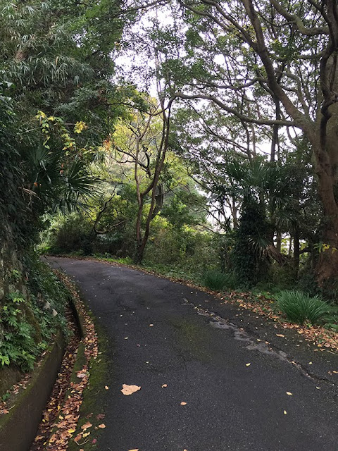 静岡県菖蒲沢海岸　石拾い