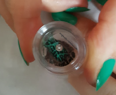 Review Born Pretty Store Double Head Clear Jelly Silicone Stamper Review-Born-Pretty-Store-Double-Head-Clear-Jelly-Silicone-Stamper