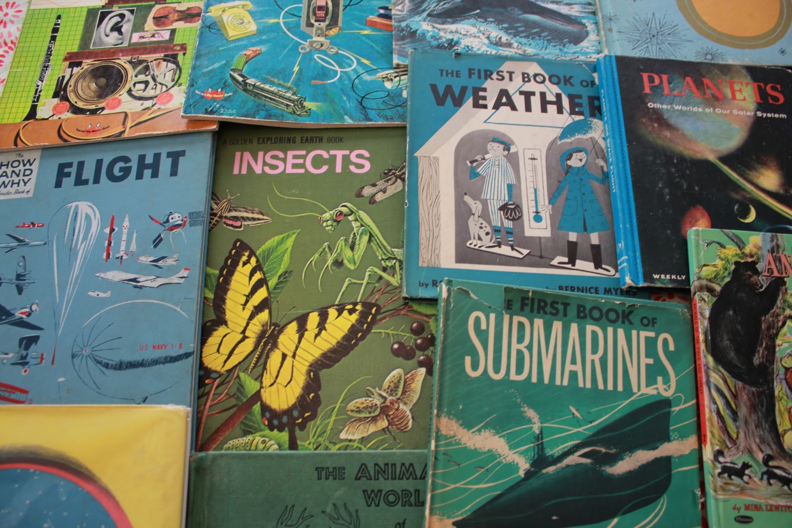 The Googly Eyed Bandit