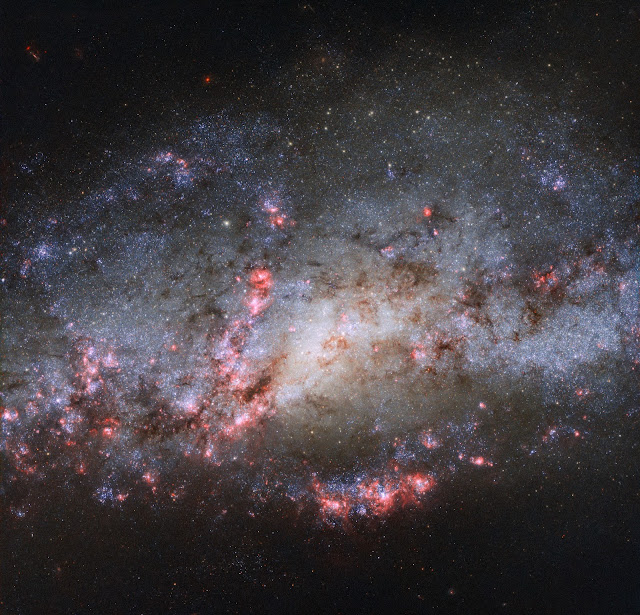 Spiral Galaxy NGC 4490