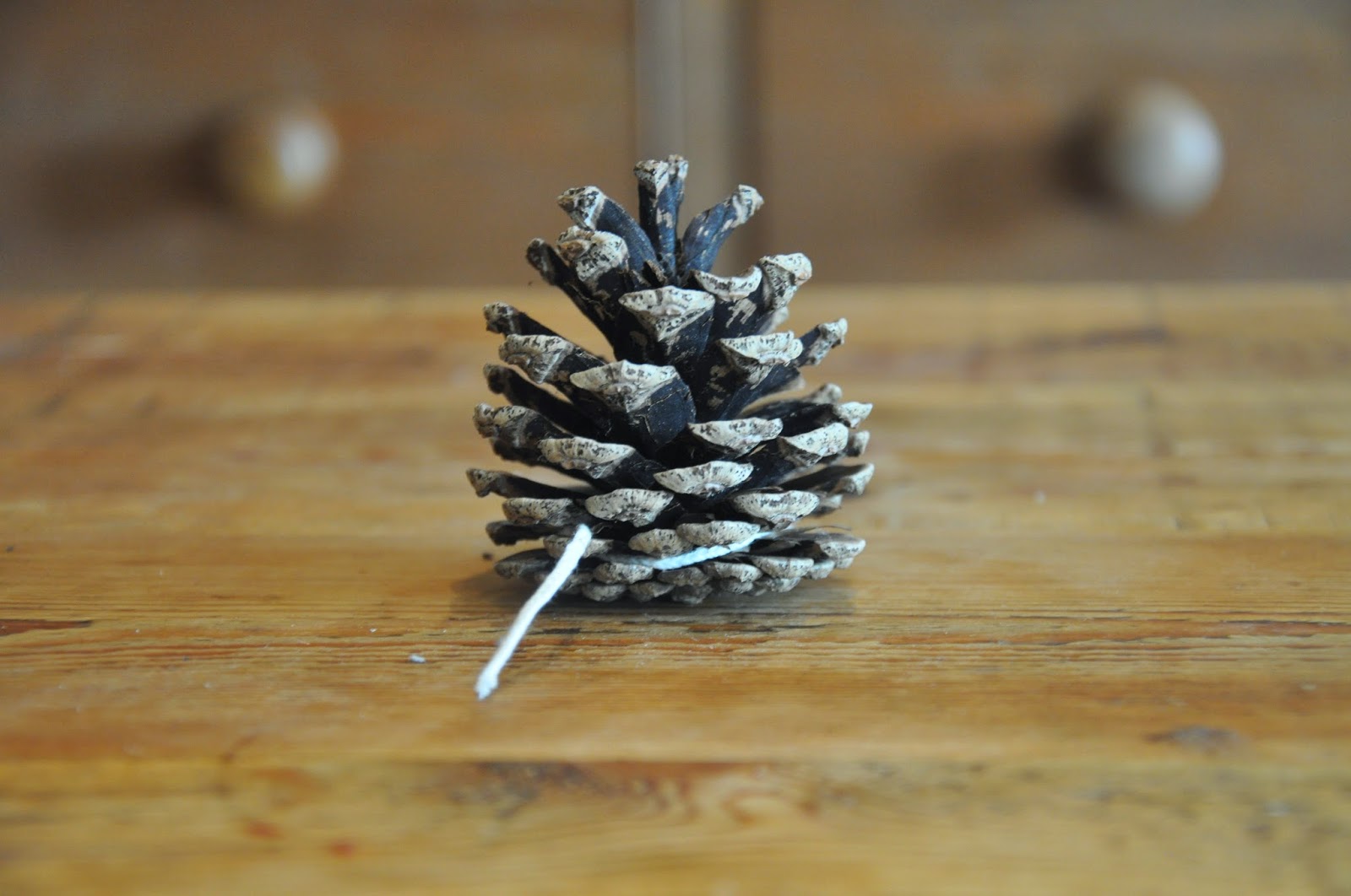Bradshaw & Sons: HOW TO MAKE PINE CONE FIRELIGHTERS