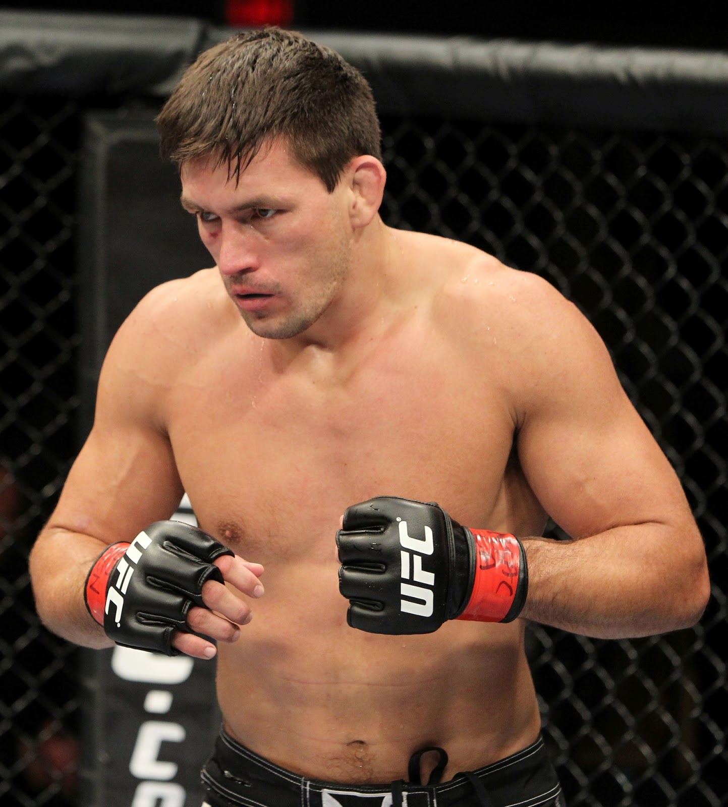 Lutadores que entraram para a história do MMA Filosofia Agressiva Lutadores que entraram para a história do MMA Filosofia Agressiva