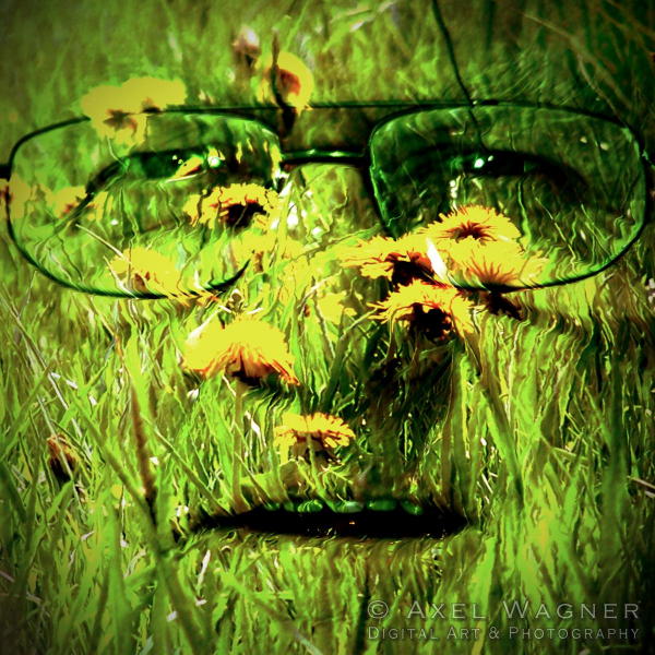 BrezelingerNachrichten Satire aus dem Schwabenland 100 und drei Wege, um ins Gras zu beißen! BrezelingerNachrichten Satire aus dem Schwabenland 100 und drei Wege, um ins Gras zu beißen!