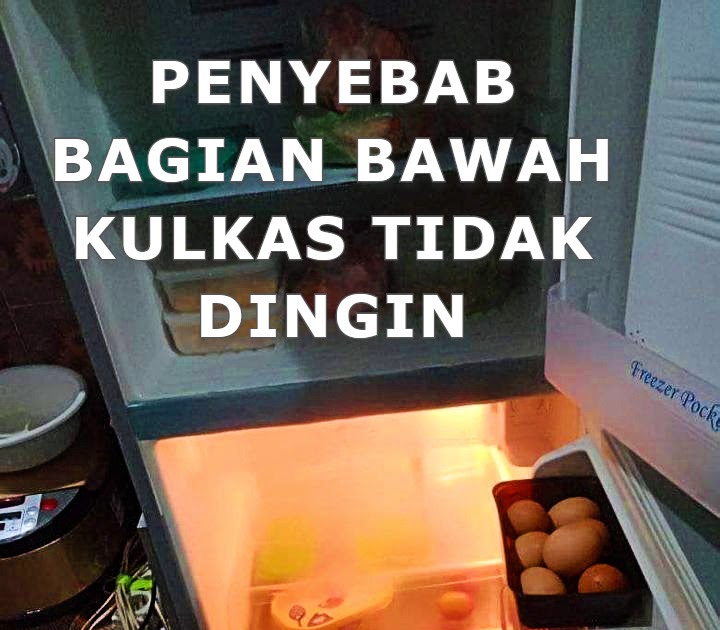 Kulkas 2 Pintu Bagian Bawah Tidak Dingin Ketahui Disini