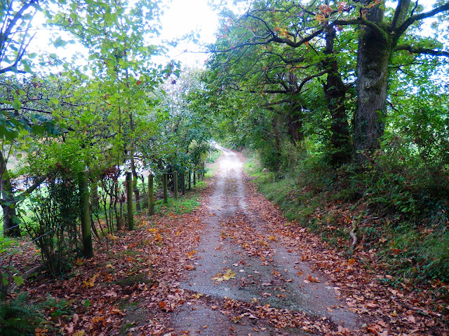 Vista Atras Vista Adelante