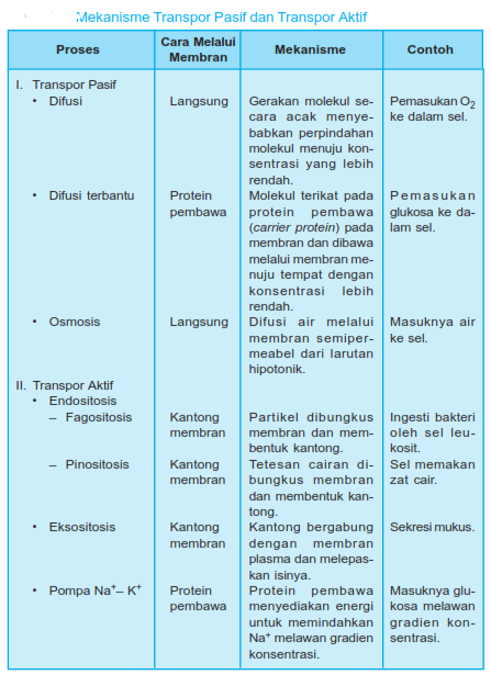 Perbedaan Transpor Aktif Dan Transpor Pasif Terkait Perbedaan