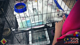 Kedai Ikan Dan Burung Qiang