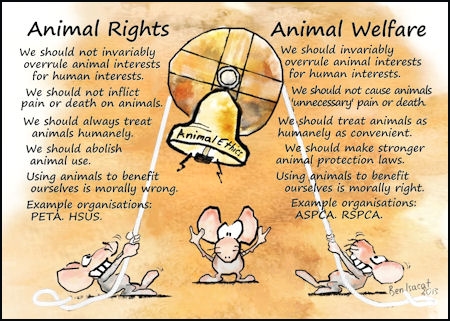 How to address Animal Welfare issues and its implications on Indian Poultry  Sector?