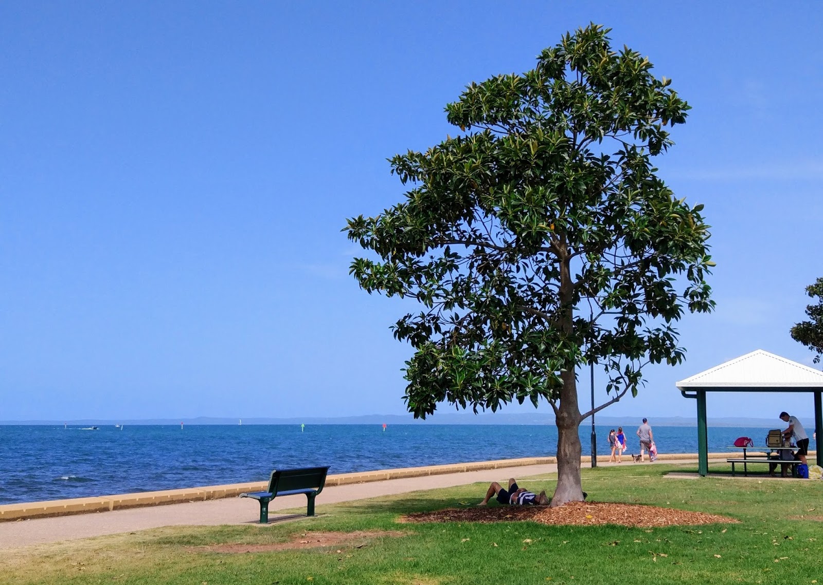 e_ting Where to find proper coffee around Brisbane's Bayside