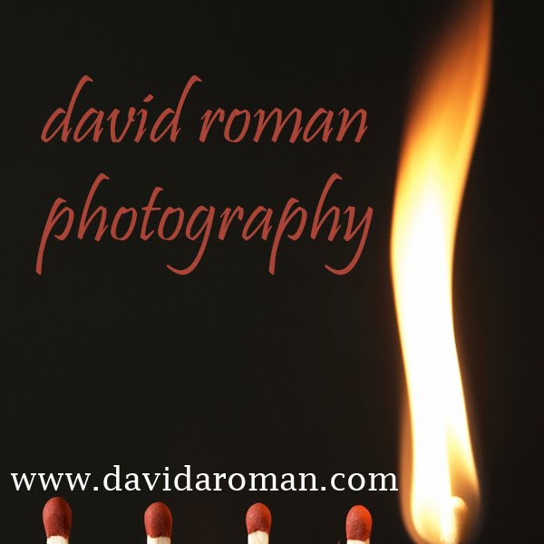 David Roman Photography