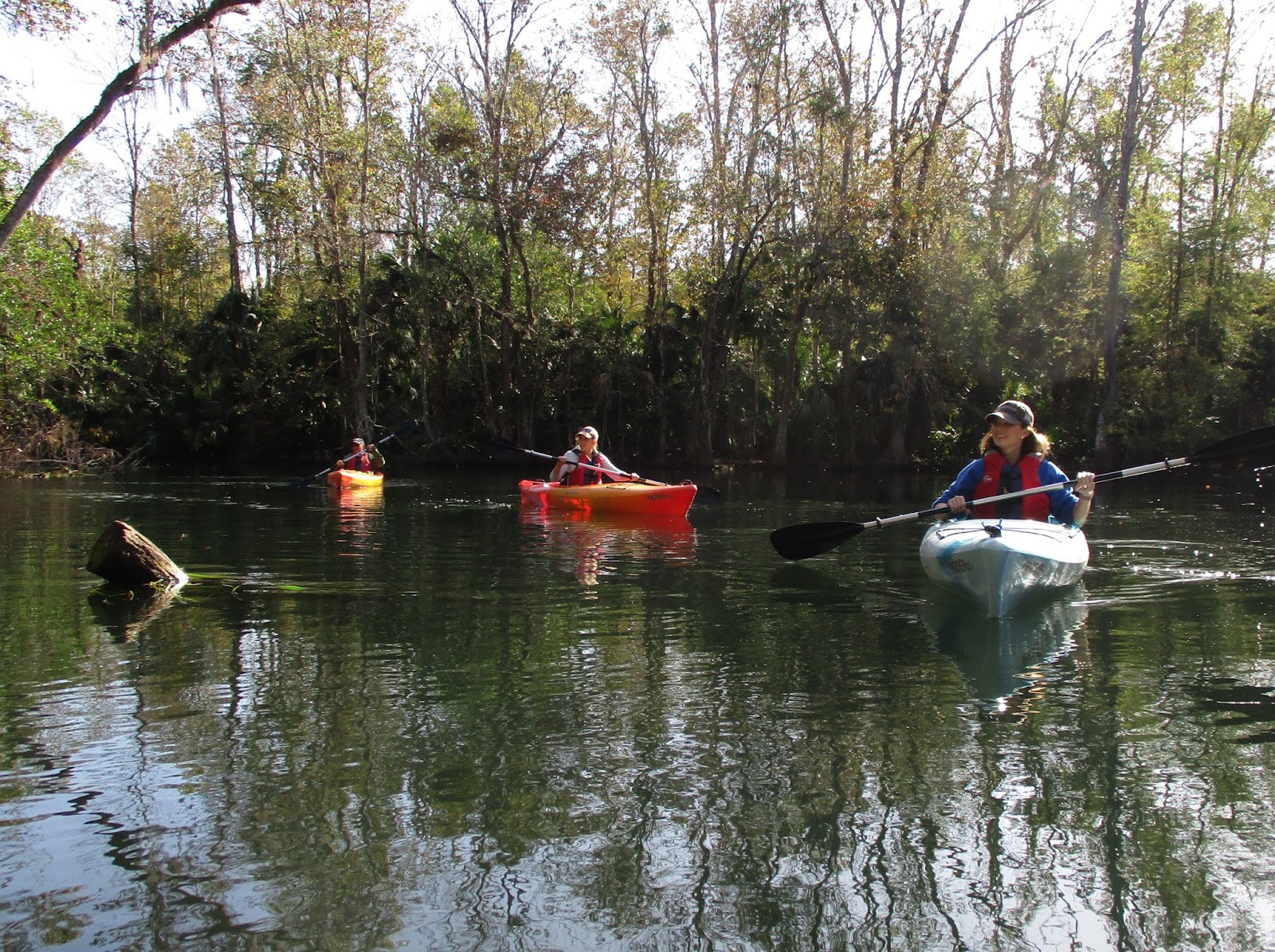 Central Florida Kayak Tours: Kayaking the Silver River... there is no
