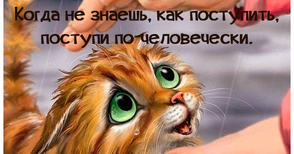 Картинки больше позитива меньше негатива
