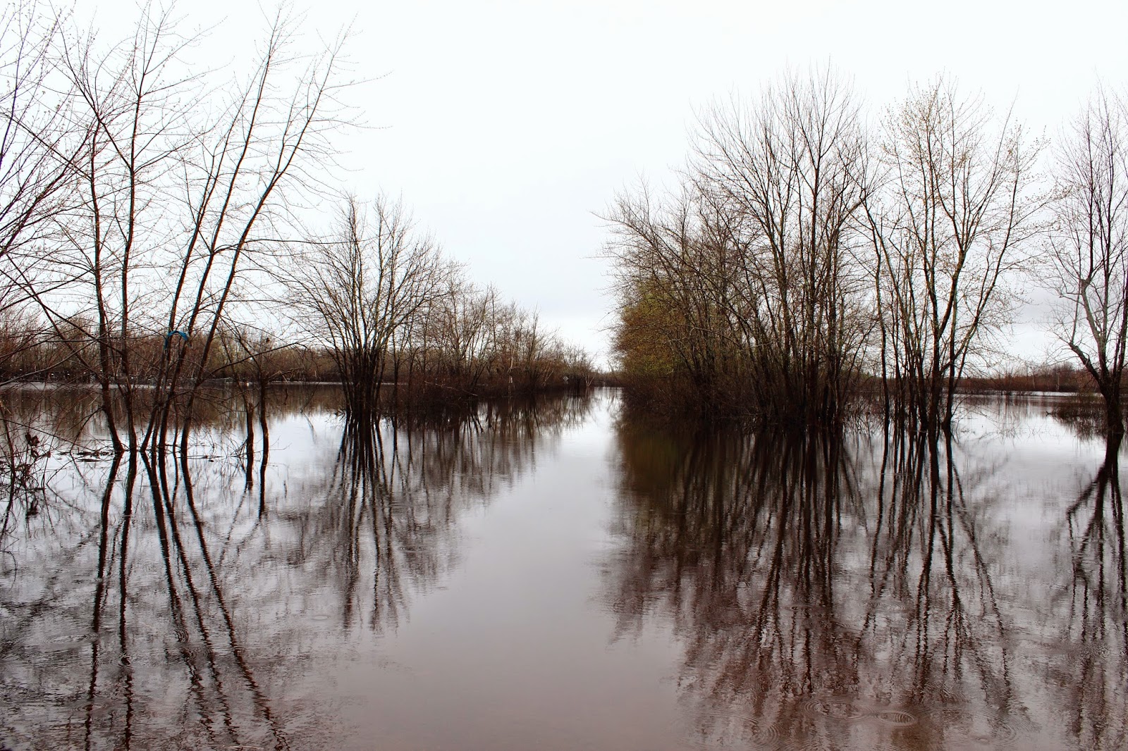 French Lake NB Flooded