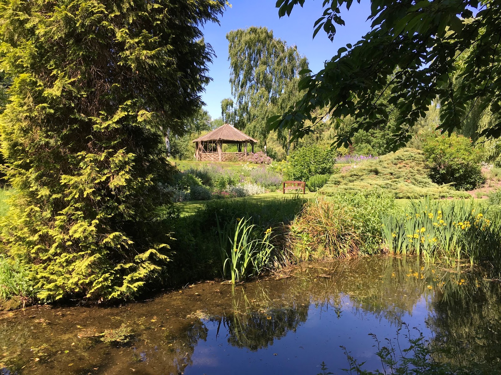 Ramblings from an English Garden Gooderstone Water Gardens, Norfolk