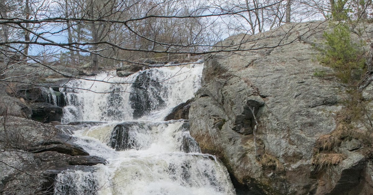 Diana’s Little Corner in the Nutmeg State Photo Shoot Monday