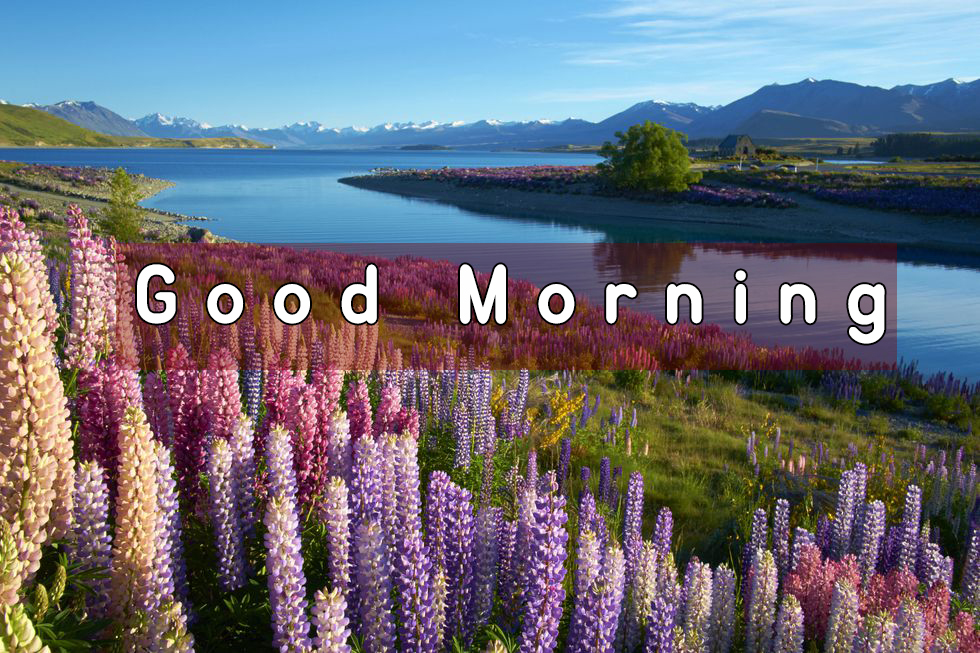 river good morning images nature view good morning images
