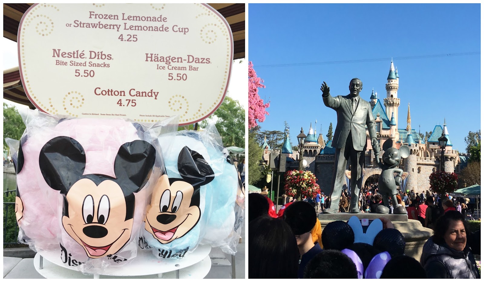 THE 5 BEST DISNEY SNACKS AT DISNEYLAND A Life With Frills