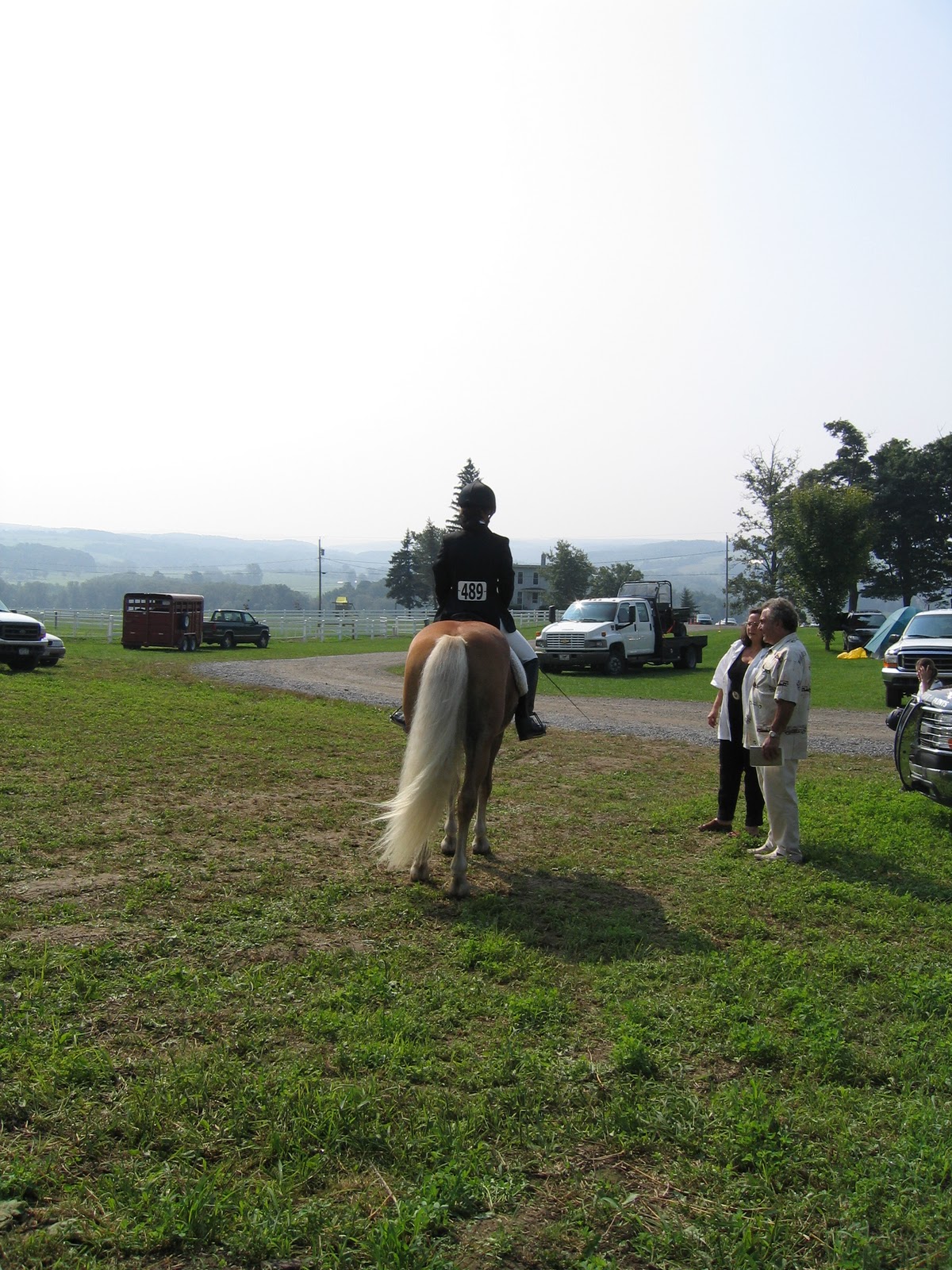 Memoirs of a Horse Girl Memoirs A Horse Girl Gets Carded